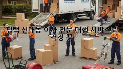 평택 신대동 이사, 전문 대행 서비스로 걱정 끗! 💯