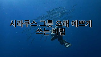 시라쿠스 그릇, 오래 예쁘게 쓰는 비법! ✨