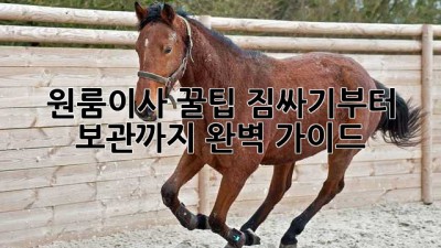 원룸이사 꿀팁🍯: 짐싸기부터 보관까지 완벽 가이드✨