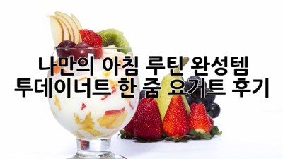 나만의 아침 루틴 완성템: 투데이너트 한 줌 요거트 후기